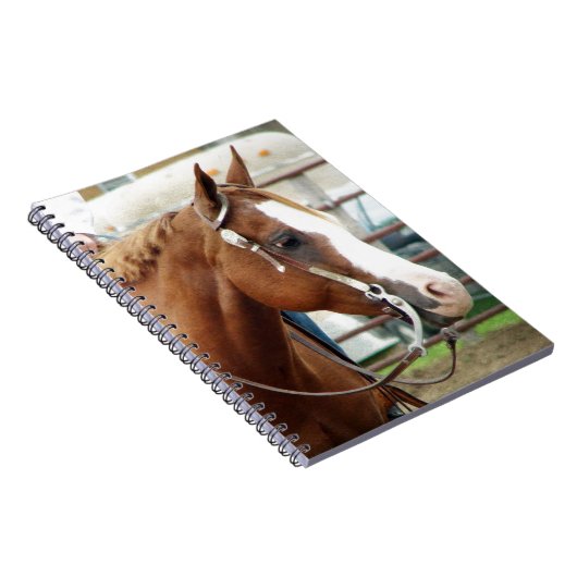 Western paard notitieboek (Rechterzijde)