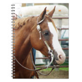 Western paard notitieboek (Voorkant)