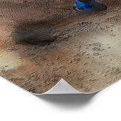 Western paard Rodeo Cowboy Art Wall Poster (Hoek)