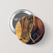 Western paard ronde button 5,7 cm (Voorkant /achterkant)