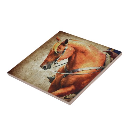 Western paard tegeltje (Zijkant)