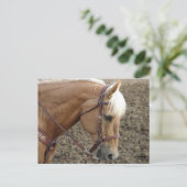 Western paard van Palomino Briefkaart (Staand voorkant)