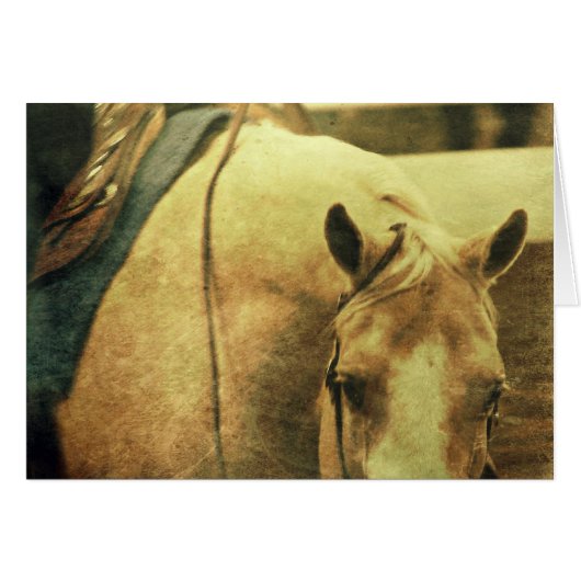 Western Palomino (Voorkant Horizontaal)