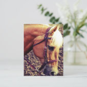 Western Palomino Briefkaart (Staand voorkant)