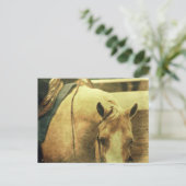 Western Palomino Briefkaart (Staand voorkant)