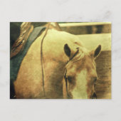 Western Palomino Briefkaart (Voorkant)
