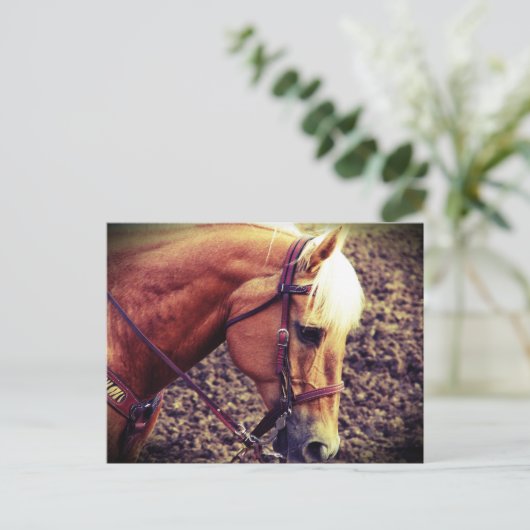 Western Palomino Briefkaart (Staand voorkant)