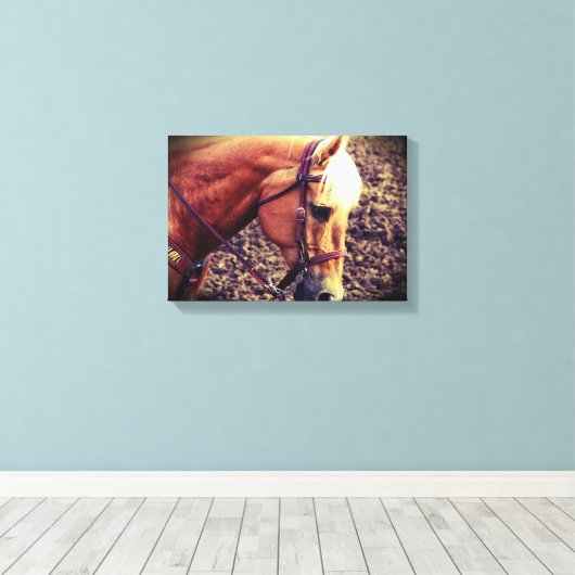 Western Palomino Canvas Afdruk (Insitu (Houten vloer))