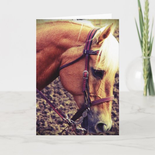 Western Palomino Kaart (Voorkant)