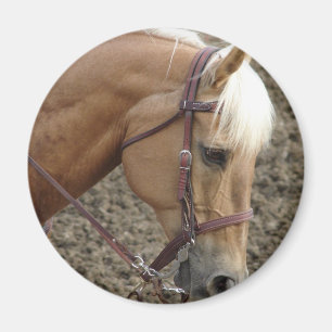 Western Palomino Magneet