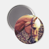 Western Palomino Magneet (Voorkant / Achterkant)