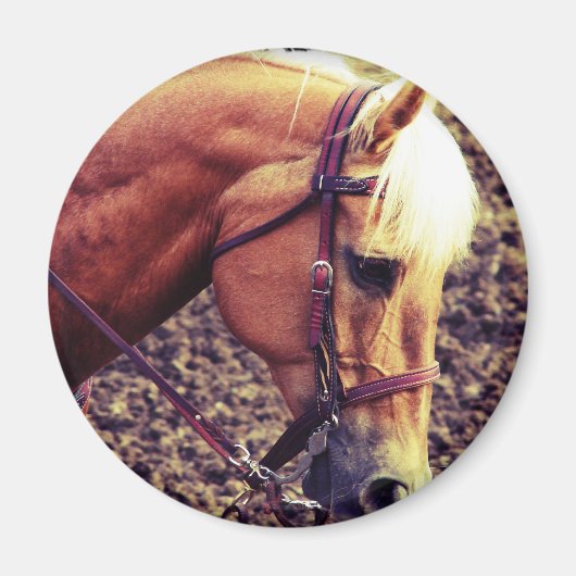 Western Palomino Magneet (Voorkant)