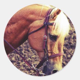 Western Palomino Ronde Sticker