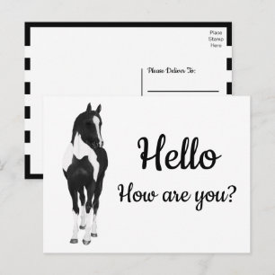 Western Pony Watercolor Zwart Witte Paard Hallo Briefkaart