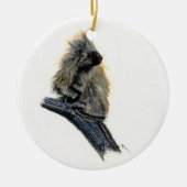Western porcupine Ornament (Voorkant)