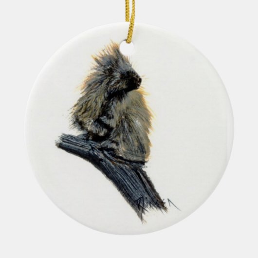 Western porcupine Ornament (Voorkant)