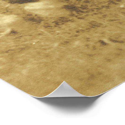  WESTERN POSTER COWGIRL-DRUK (Hoek)