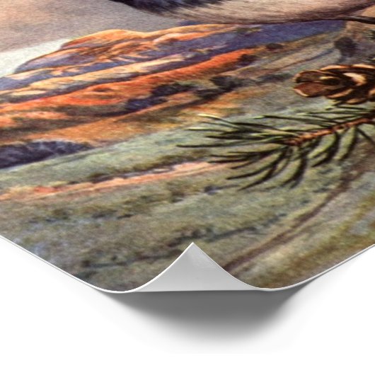  Western Poster voor scrub-Jay (Hoek)