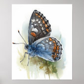 Western Pygmy Butterfly Art Print Poster (Voorkant)