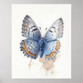 Western Pygmy Butterfly Art Print Poster (Voorkant)
