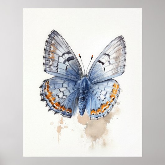 Western Pygmy Butterfly Art Print Poster (Voorkant)
