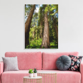 Western Red Cedar Trees Canvas Afdruk (Insitu (Woonkamer))