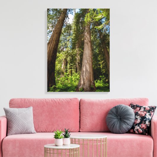 Western Red Cedar Trees Canvas Afdruk (Insitu (Woonkamer))