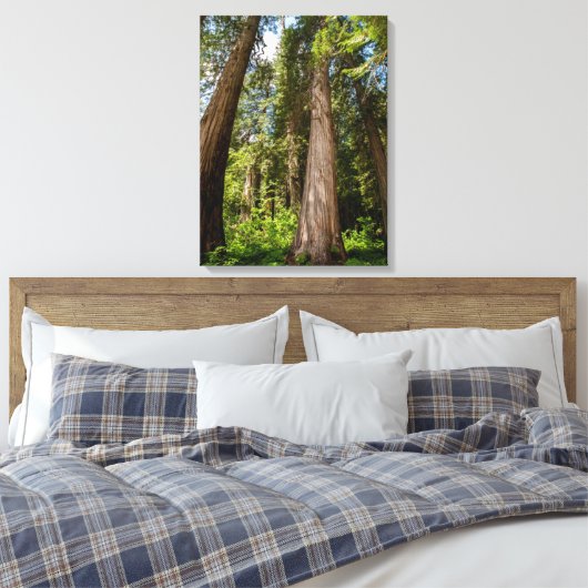 Western Red Cedar Trees Canvas Afdruk (Insitu (Slaapkamer))