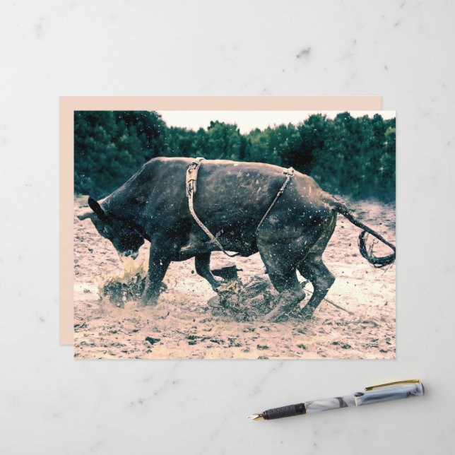 Western Rodeo Black Bull Land Cowboy Rustic (Voorkant / Achterkant in situ)