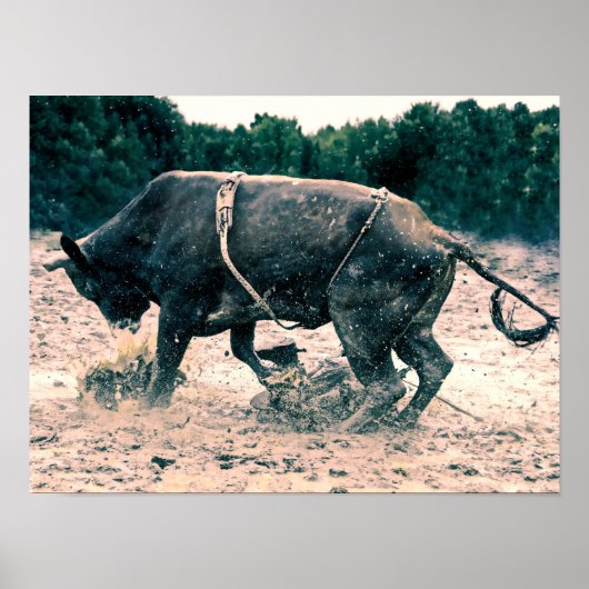 Western Rodeo Black Bull Land Cowboy Rustic Poster (Voorkant)