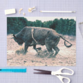 Western Rodeo Black Bull Land Cowboy Rustic Tissuepapier (Craft)