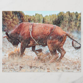 Western Rodeo Bull Land Cowboy  Rustic