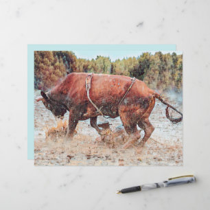 Western Rodeo Bull Land Cowboy Rustic