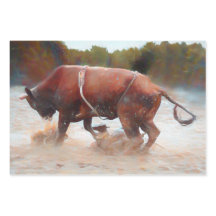 Western Rodeo Bull Land Rustic