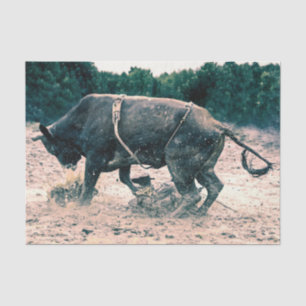 Western Rodeo Zwarte Stier Landelijke Cowboy Rusti Tissuepapier