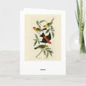 Western, Scarlet Tanagers Audubon Birds of America Kaart (Achterkant)