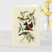 Western, Scarlet Tanagers Audubon Birds of America Kaart (Gele Bloem)