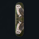 Western skateboard voor Barn Owl<br><div class="desc">Western Barn Owl - Migned Watercolor Painting Art Beautiful Forest Bird</div>