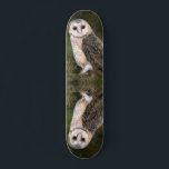 Western skateboard voor Barn Owl<br><div class="desc">Western Barn Owl - Migned Watercolor Painting Art Beautiful Forest Bird</div>