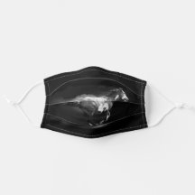 Western-stijl galoping Pinto Horse and Smoke