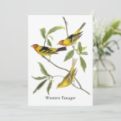 Western Tanager - John James Audubon Kaart (Staand voorkant)