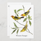 Western Tanager - John James Audubon Kaart (Voorkant / Achterkant)