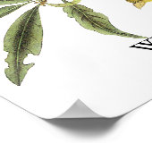 Western Tanager - John James Audubon Poster (Hoek)