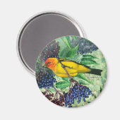 Western Tanager Magnet (Voorkant / Achterkant)