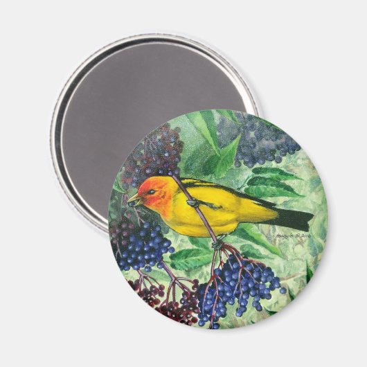 Western Tanager Magnet (Voorkant / Achterkant)