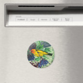 Western Tanager Magnet (Insitu (Vaatwasser))