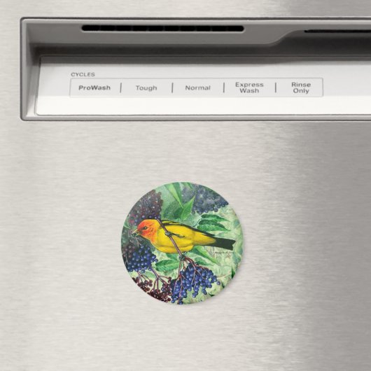 Western Tanager Magnet (Insitu (Vaatwasser))