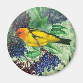 Western Tanager Magnet (Voorkant)