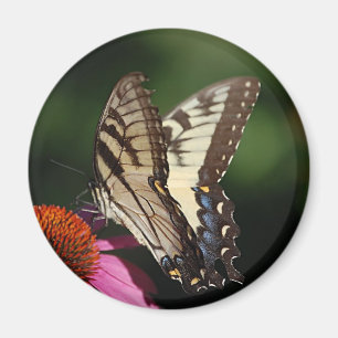 Western Tiger Swallowtail Round Magnet