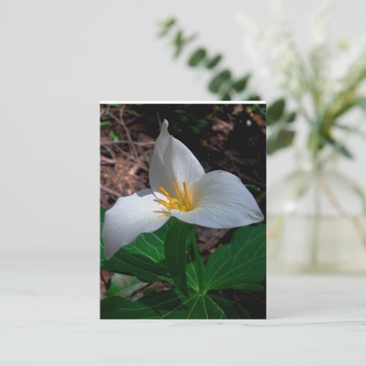 Western Trillium 01 Briefkaart (Staand voorkant)